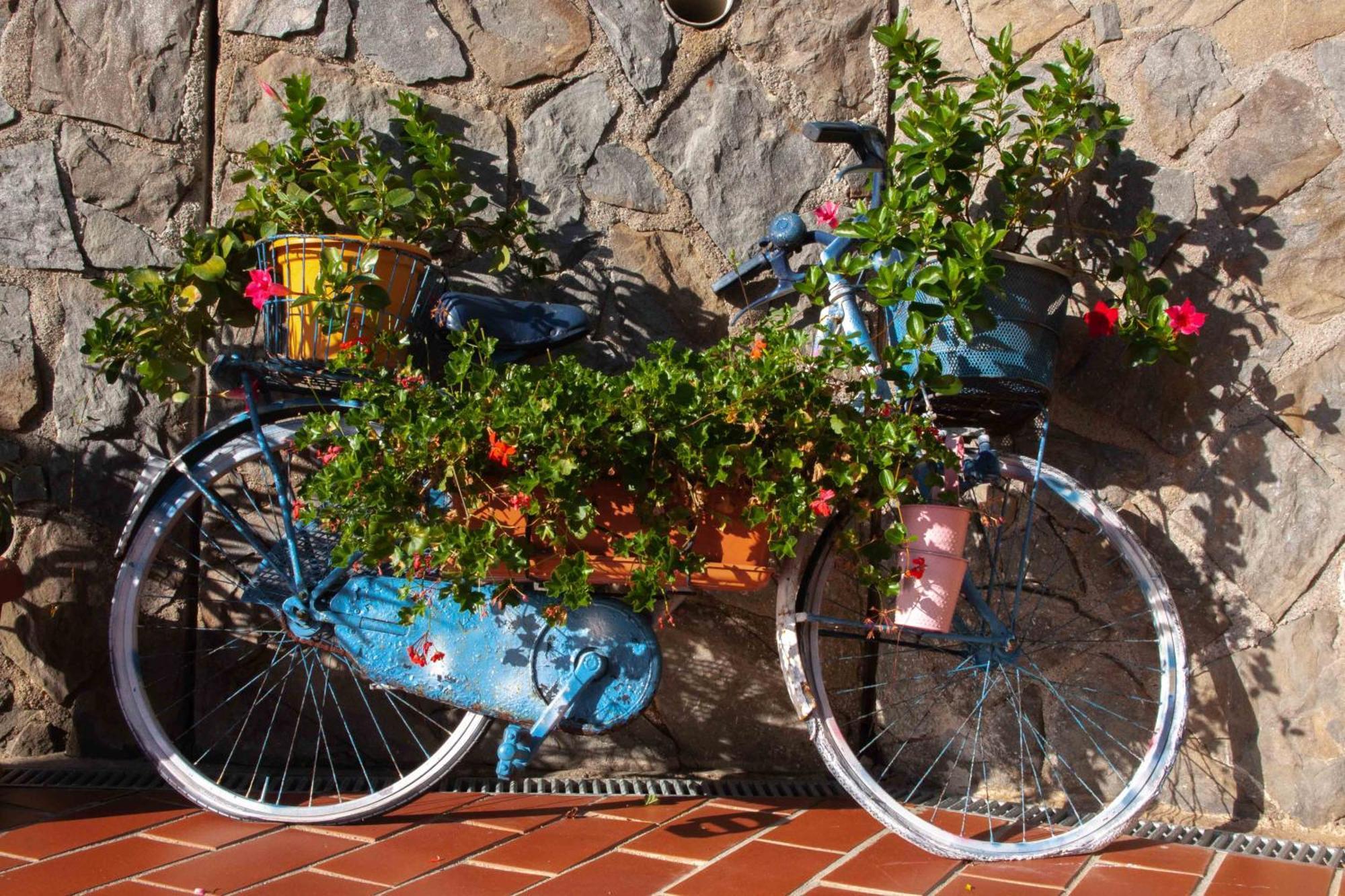 B&B Vignola Levanto Exterior photo
